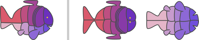Two hypothetical fishes that forgot to differentiate vertically during development