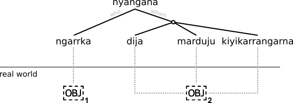 The structure of the Mudburra sentence "Ngarrka-li dija marduju kiyikarrangarna nyangana"